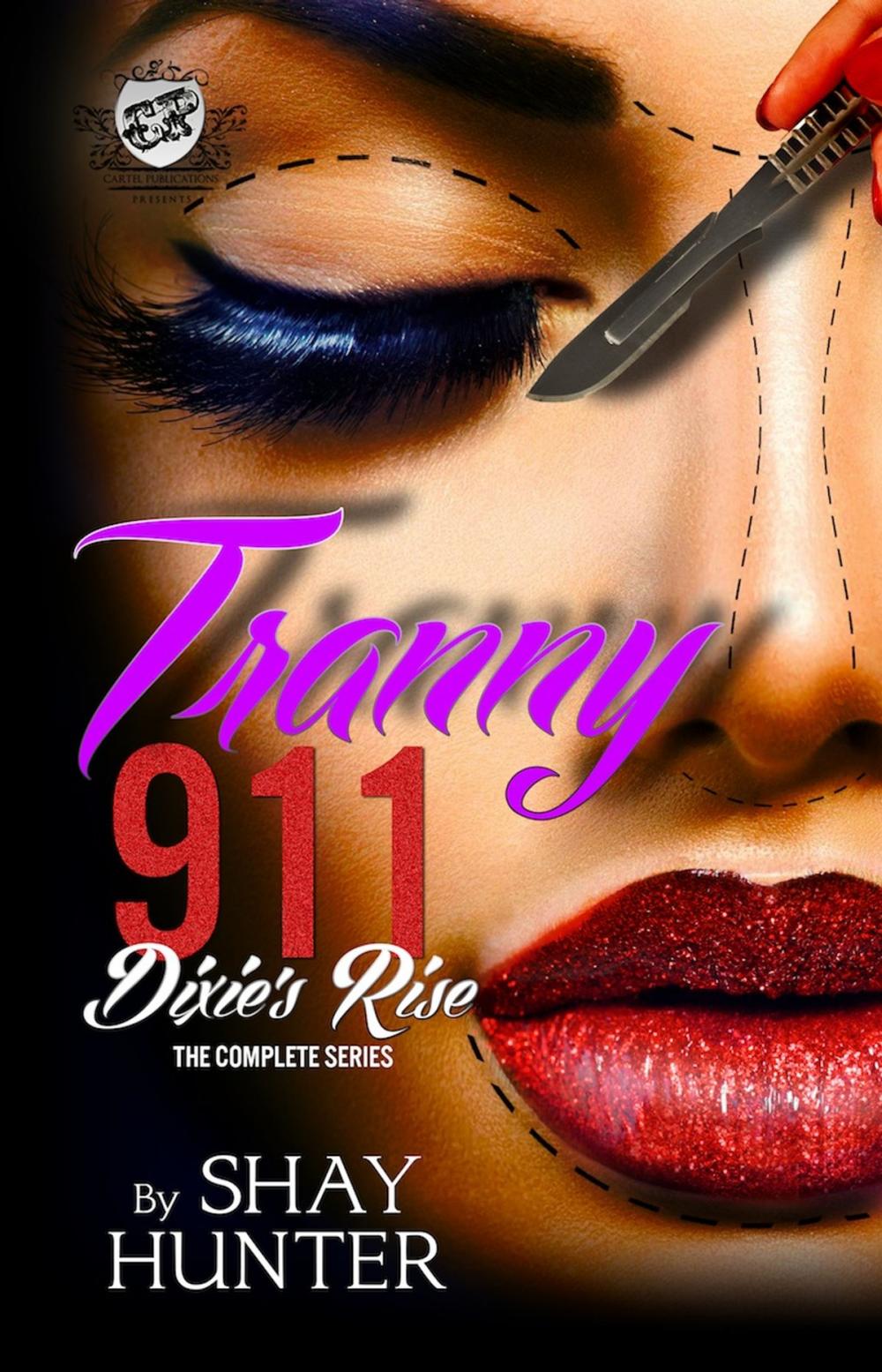 Big bigCover of Tranny 911: Dixie's Rise