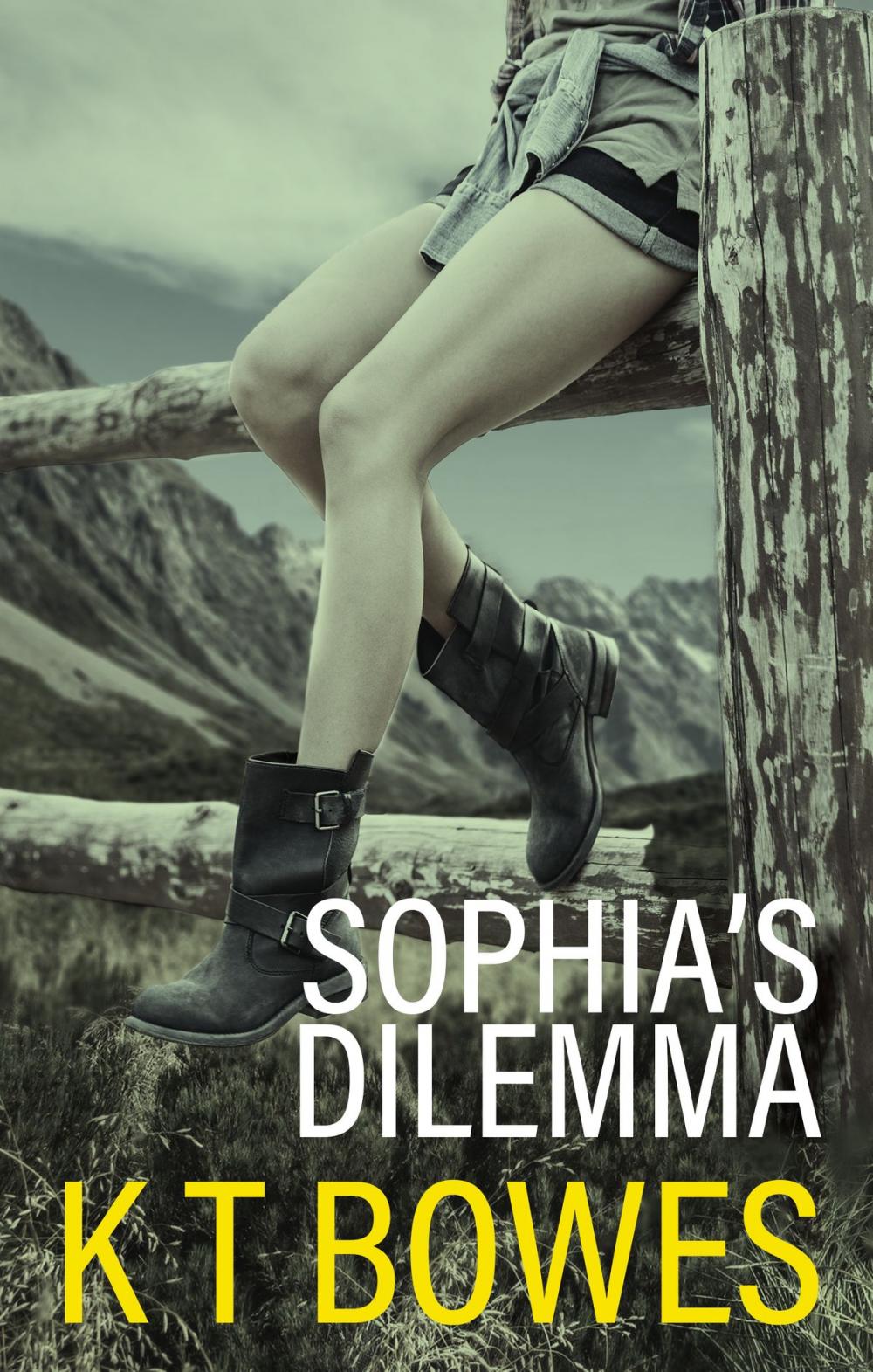 Big bigCover of Sophia's Dilemma