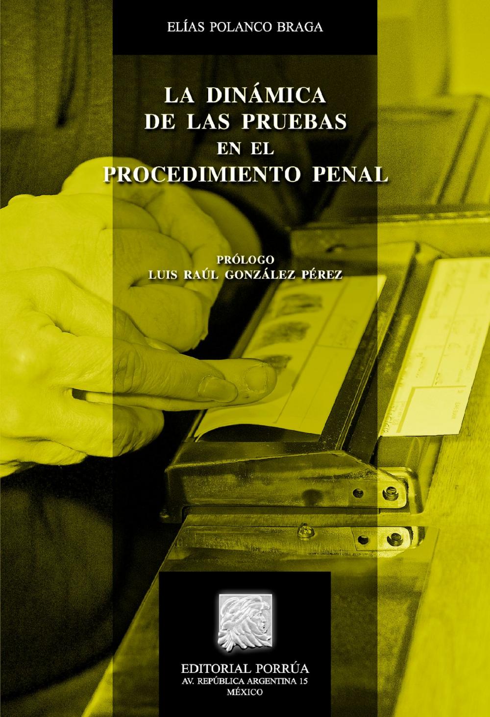 Big bigCover of La dinámica de las pruebas en el procedimiento penal