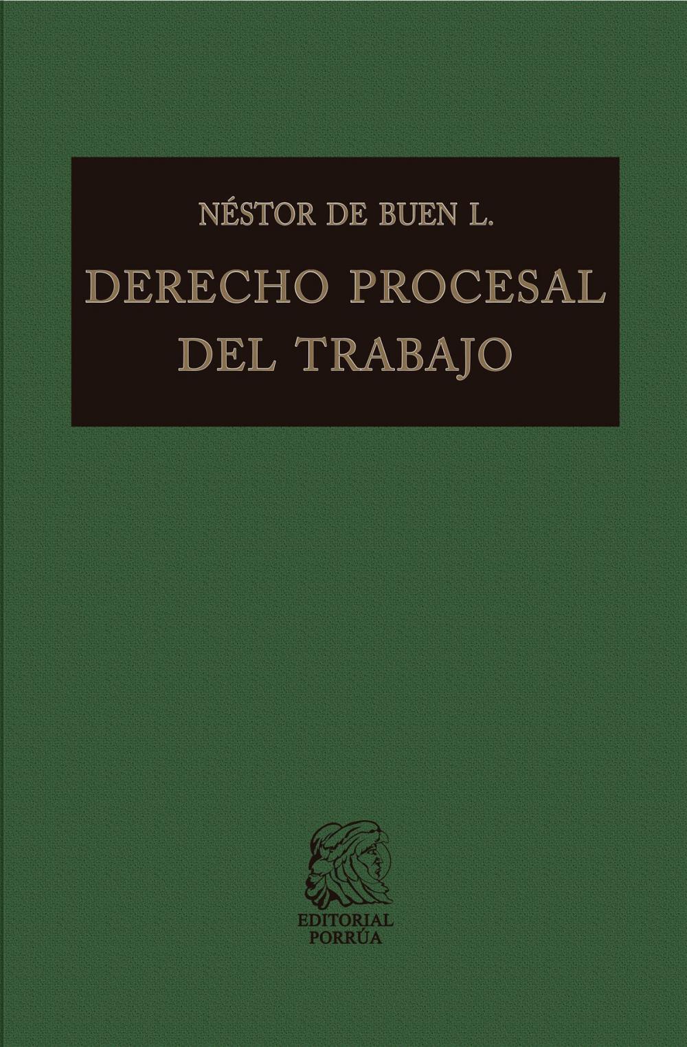 Big bigCover of Derecho procesal del trabajo