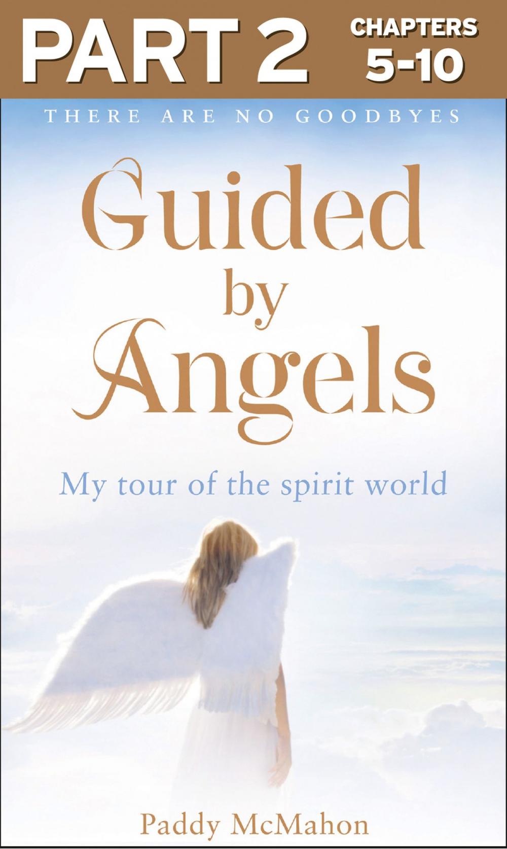 Big bigCover of Guided By Angels: Part 2 of 3: There Are No Goodbyes, My Tour of the Spirit World