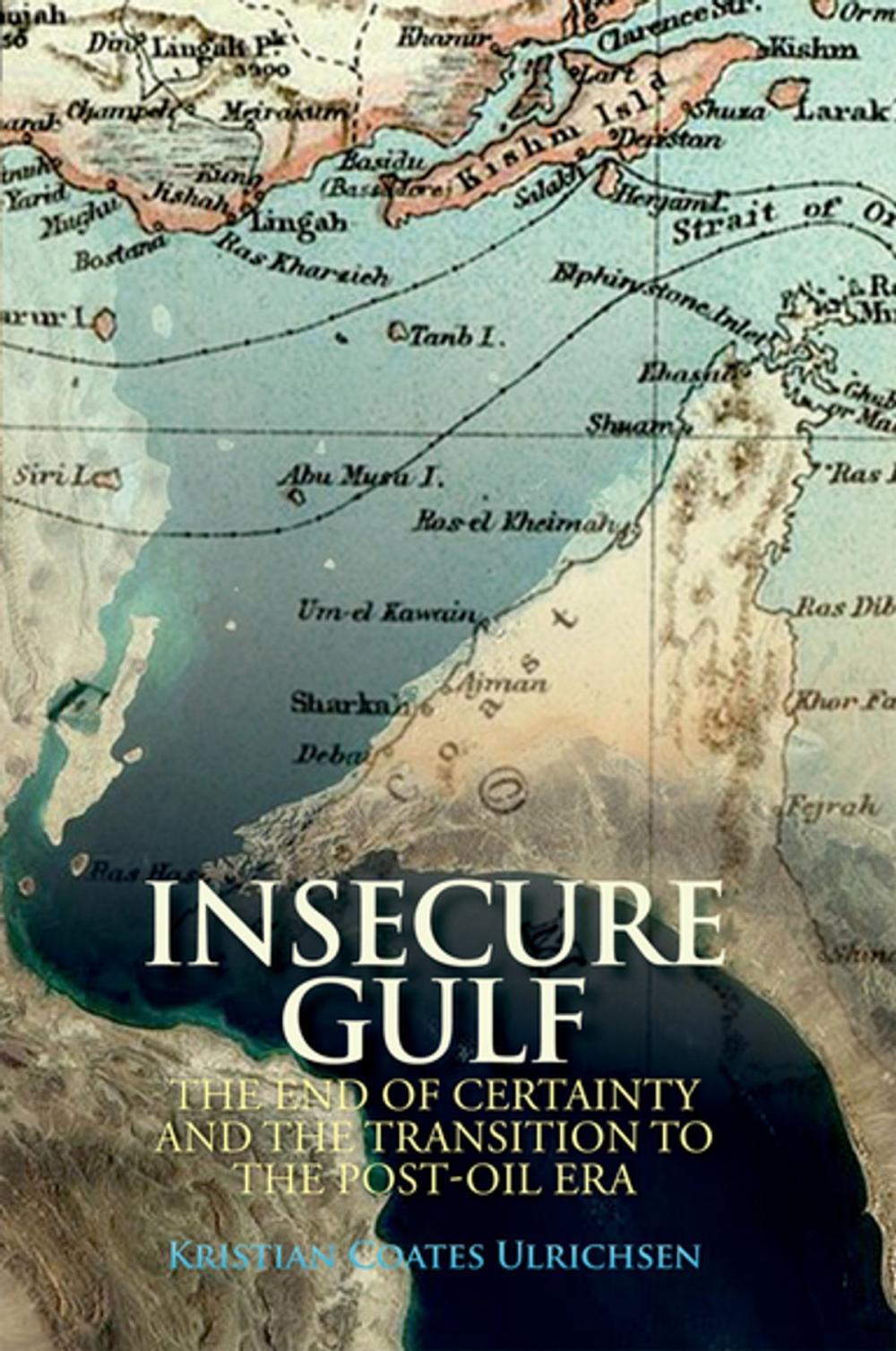 Big bigCover of Insecure Gulf