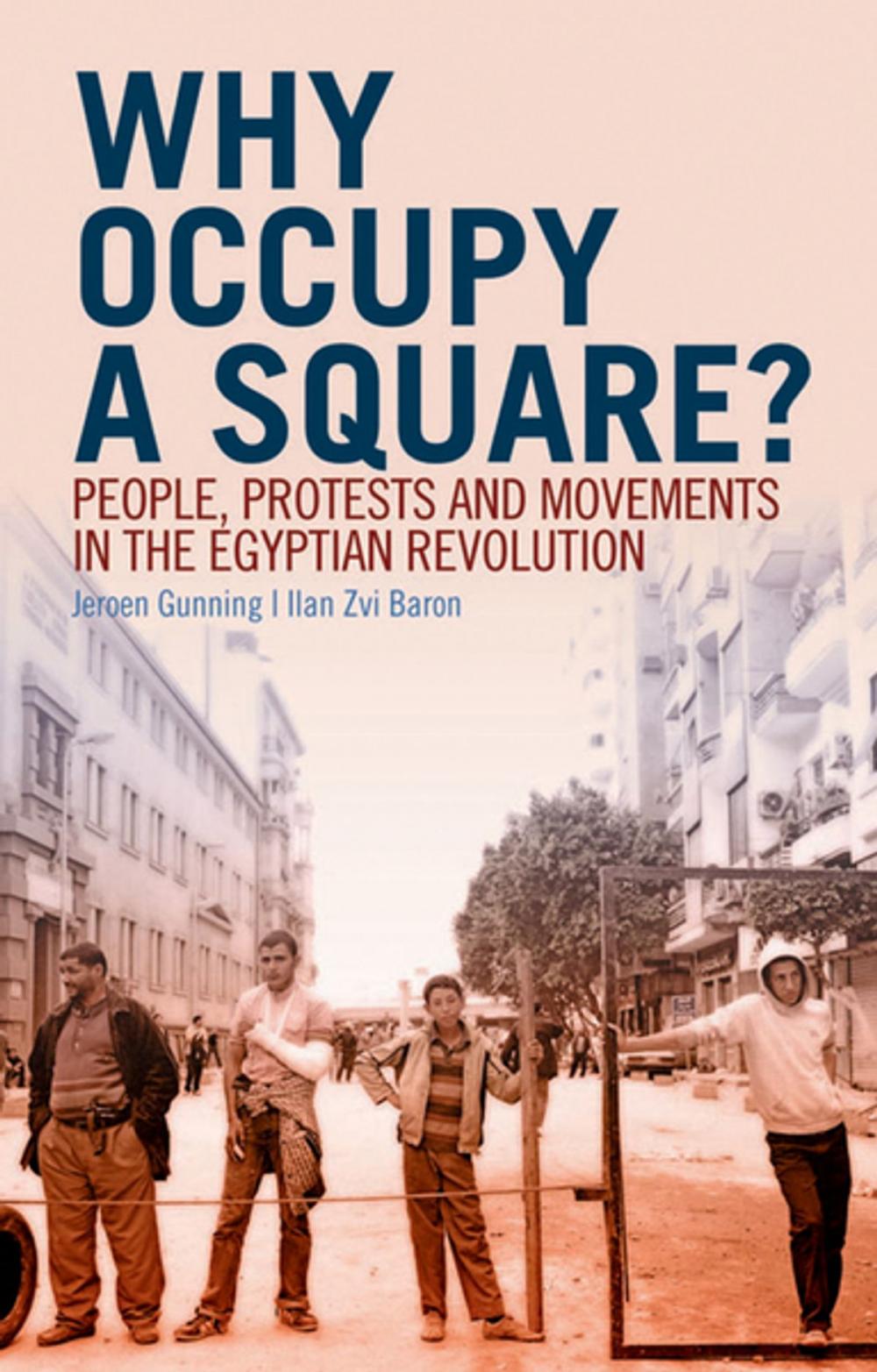 Big bigCover of Why Occupy a Square?