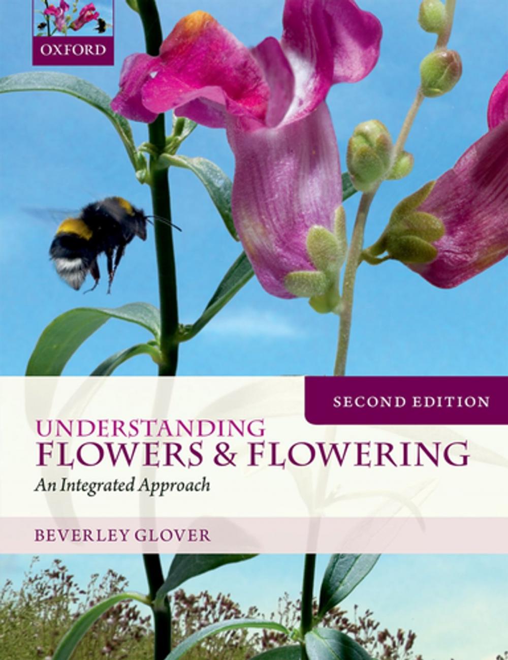 Big bigCover of Understanding Flowers and Flowering Second Edition