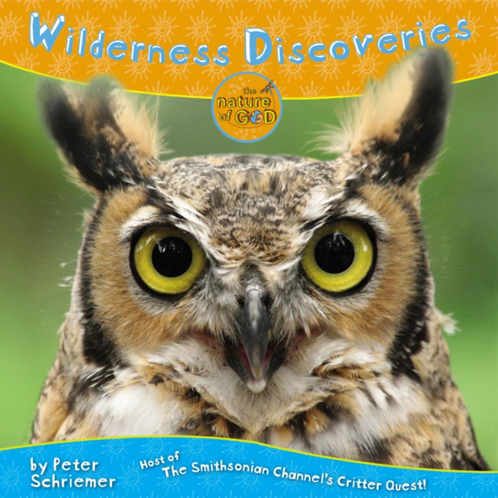 Big bigCover of Wilderness Discoveries