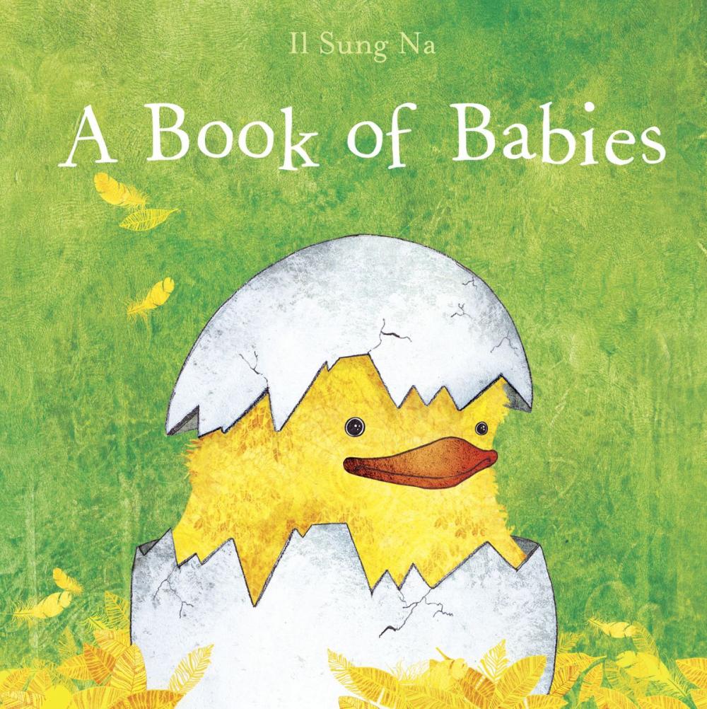 Big bigCover of A Book of Babies