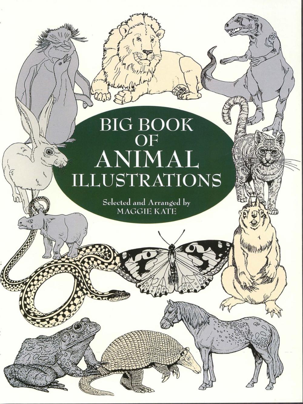 Big bigCover of Big Book of Animal Illustrations