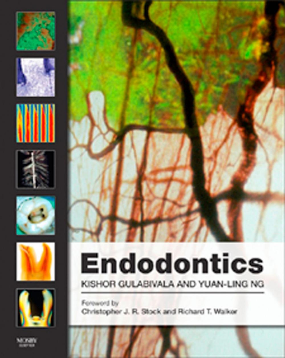 Big bigCover of Endodontics E-Book