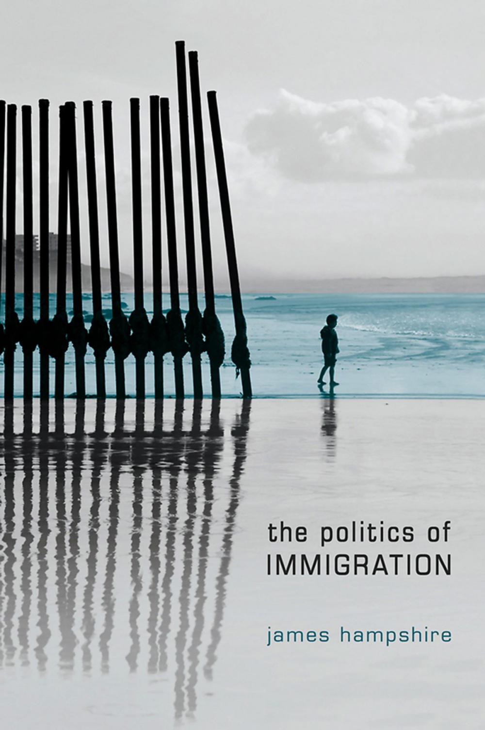 Big bigCover of The Politics of Immigration