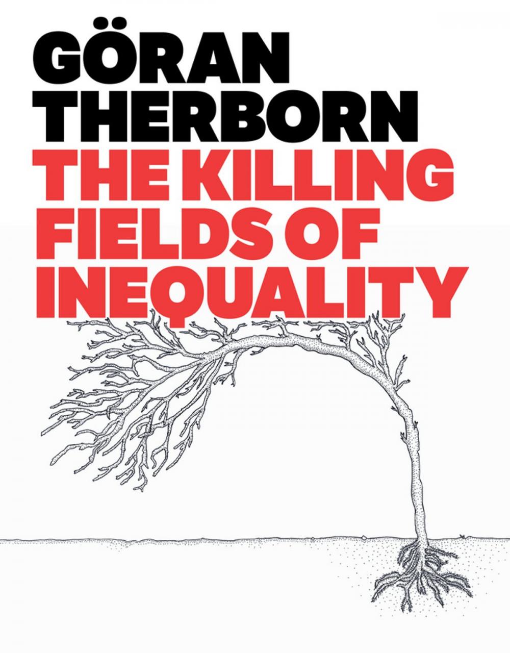 Big bigCover of The Killing Fields of Inequality