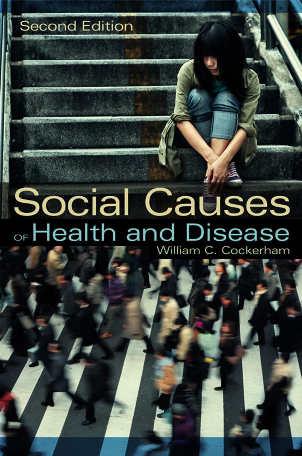 Big bigCover of Social Causes of Health and Disease