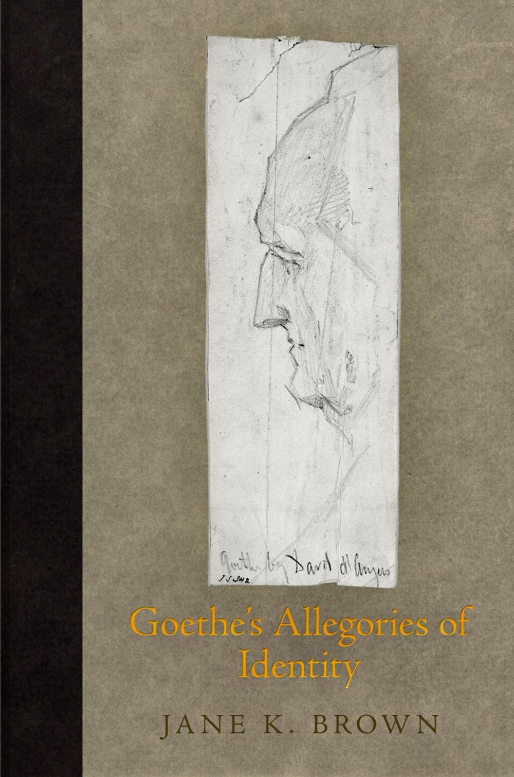 Big bigCover of Goethe's Allegories of Identity