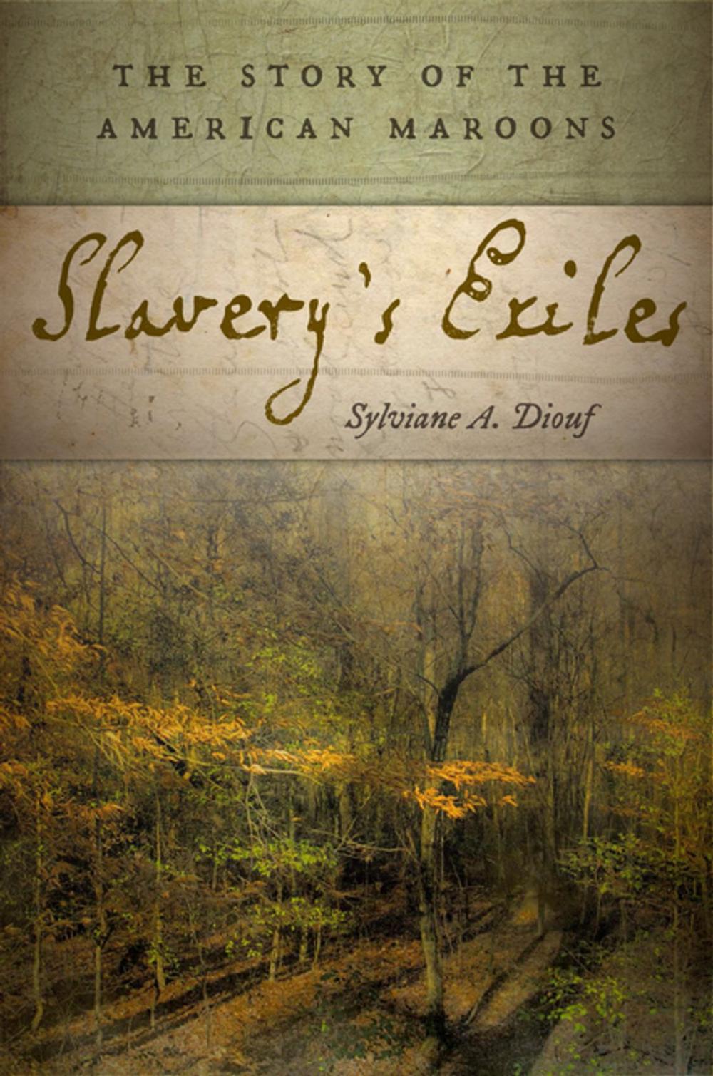 Big bigCover of Slavery's Exiles