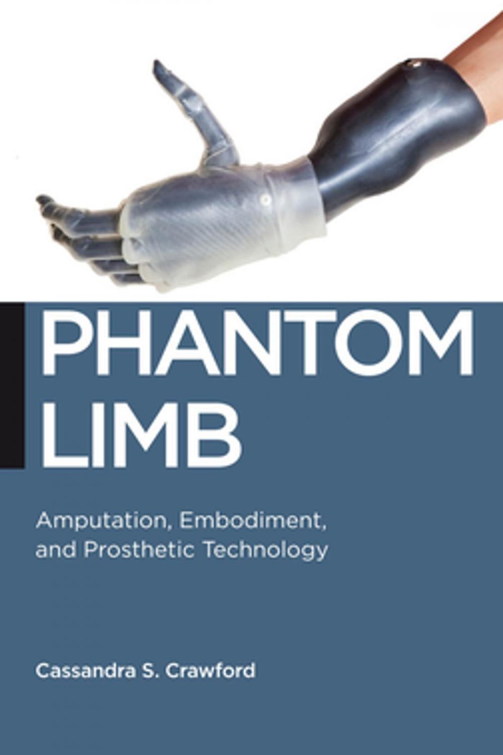 Big bigCover of Phantom Limb