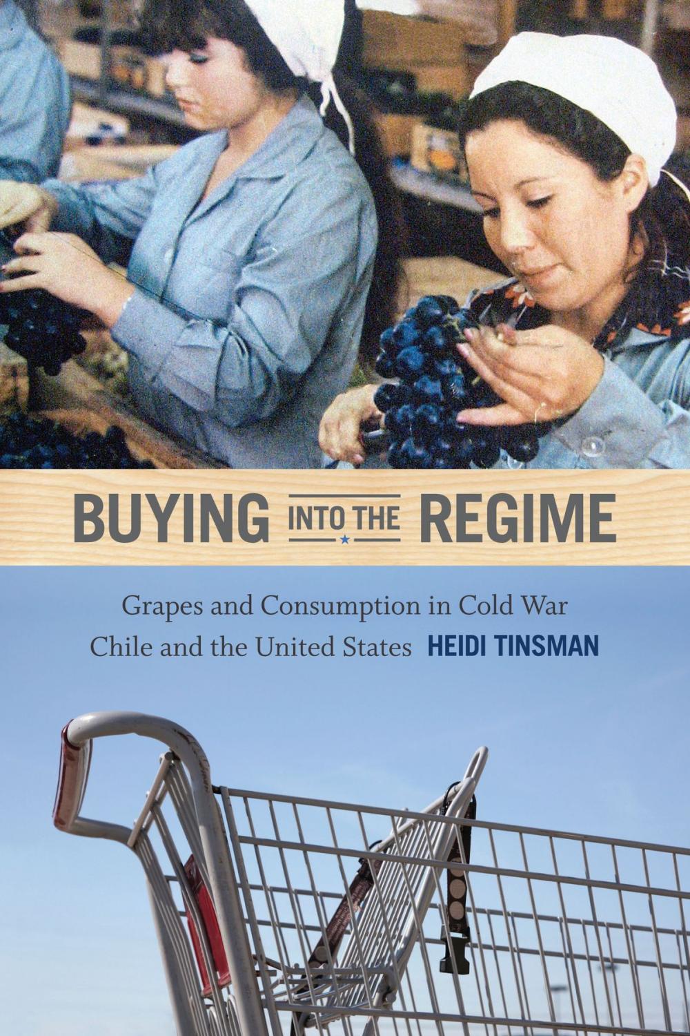 Big bigCover of Buying into the Regime