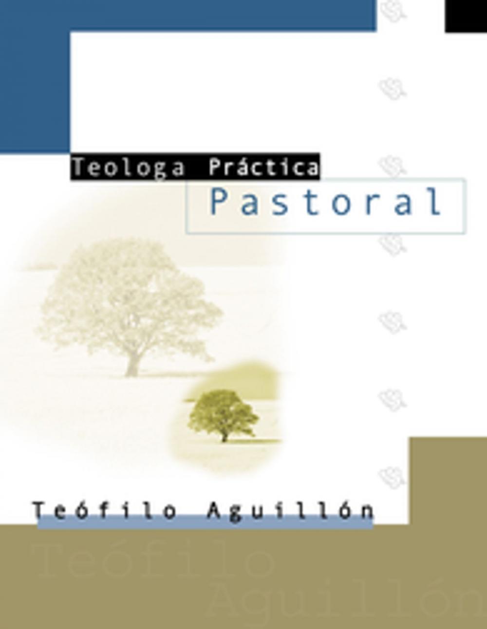 Big bigCover of Teología práctica pastoral