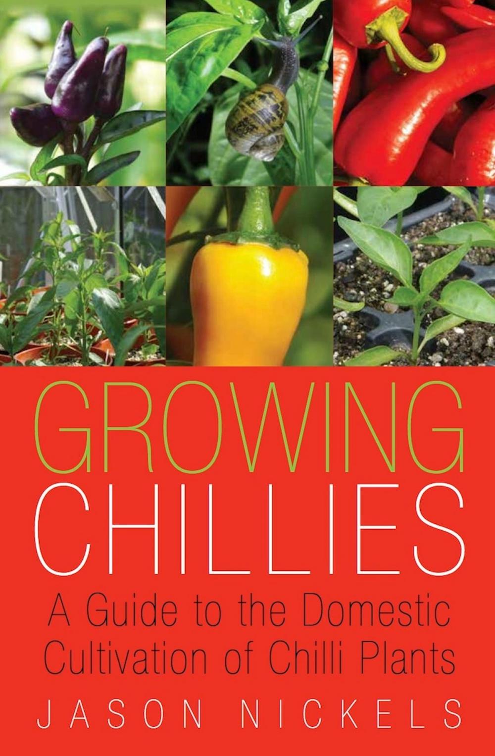 Big bigCover of Growing Chillies