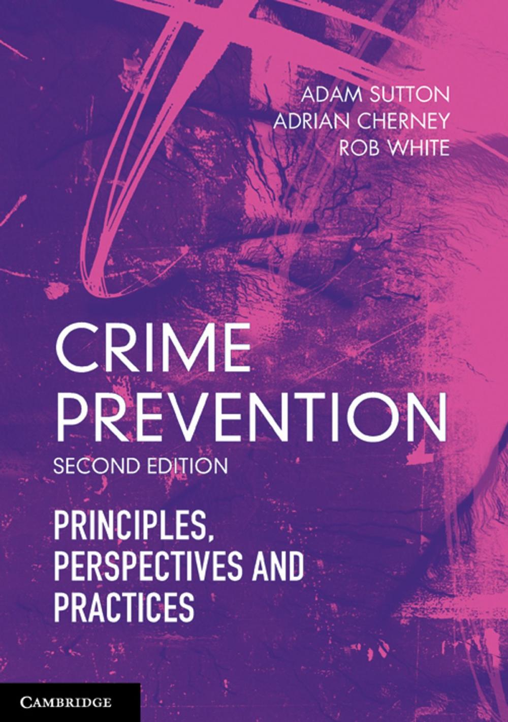 Big bigCover of Crime Prevention