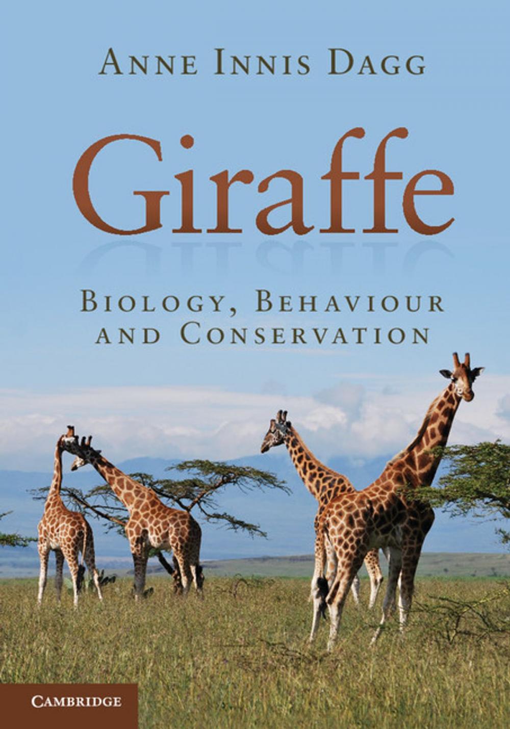 Big bigCover of Giraffe