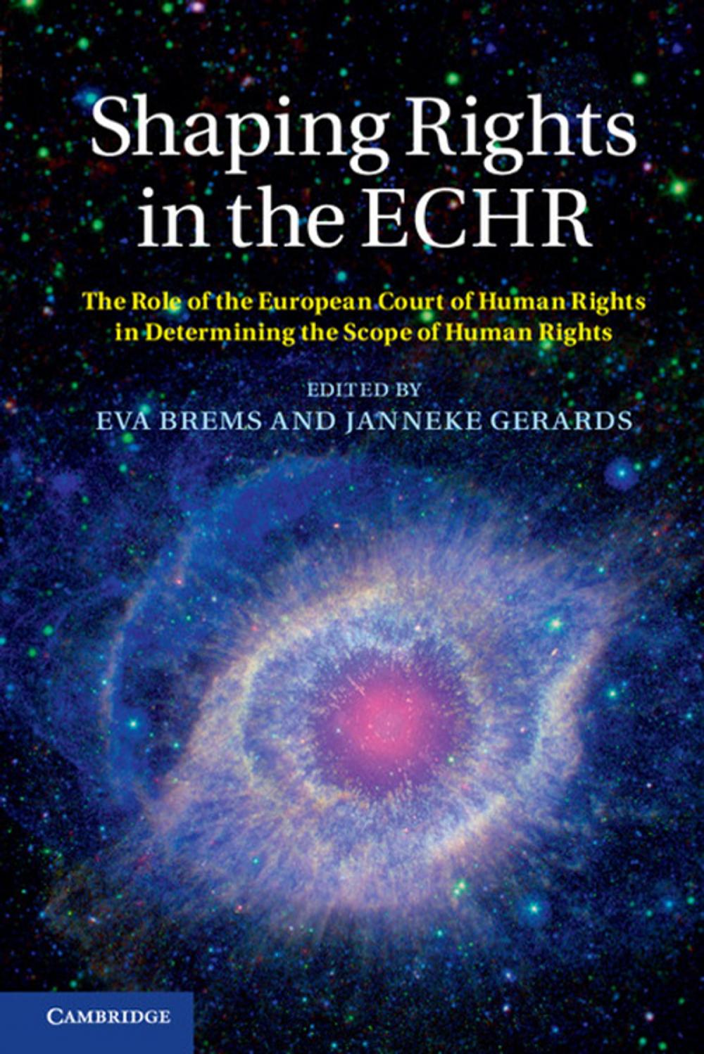 Big bigCover of Shaping Rights in the ECHR