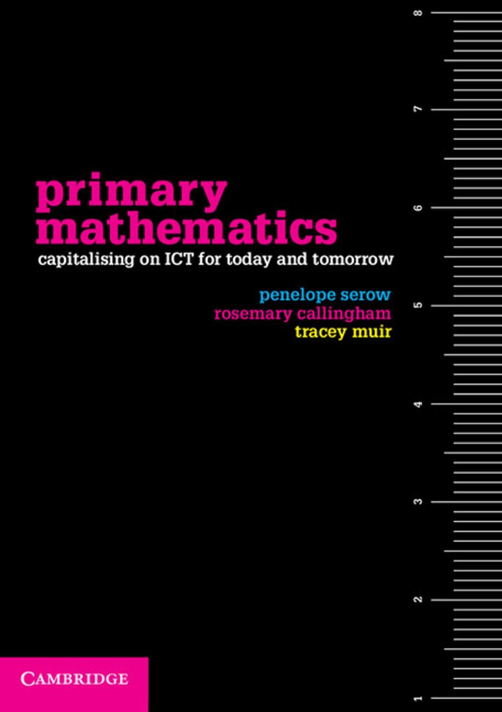 Big bigCover of Primary Mathematics