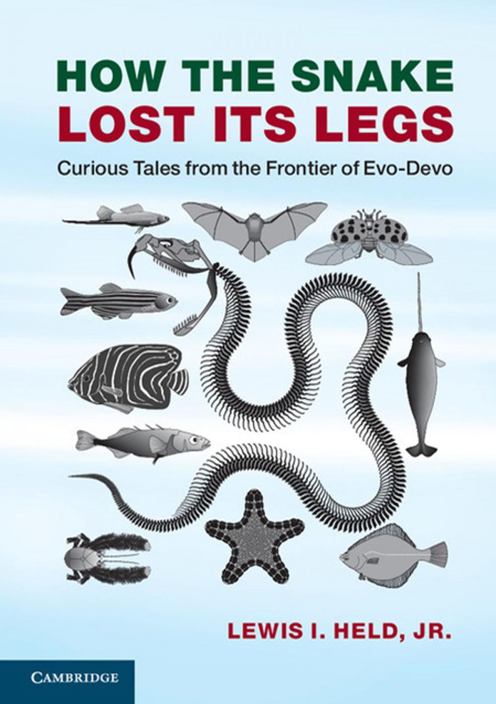 Big bigCover of How the Snake Lost its Legs