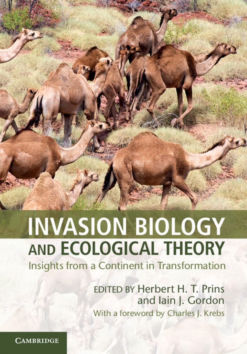 Big bigCover of Invasion Biology and Ecological Theory