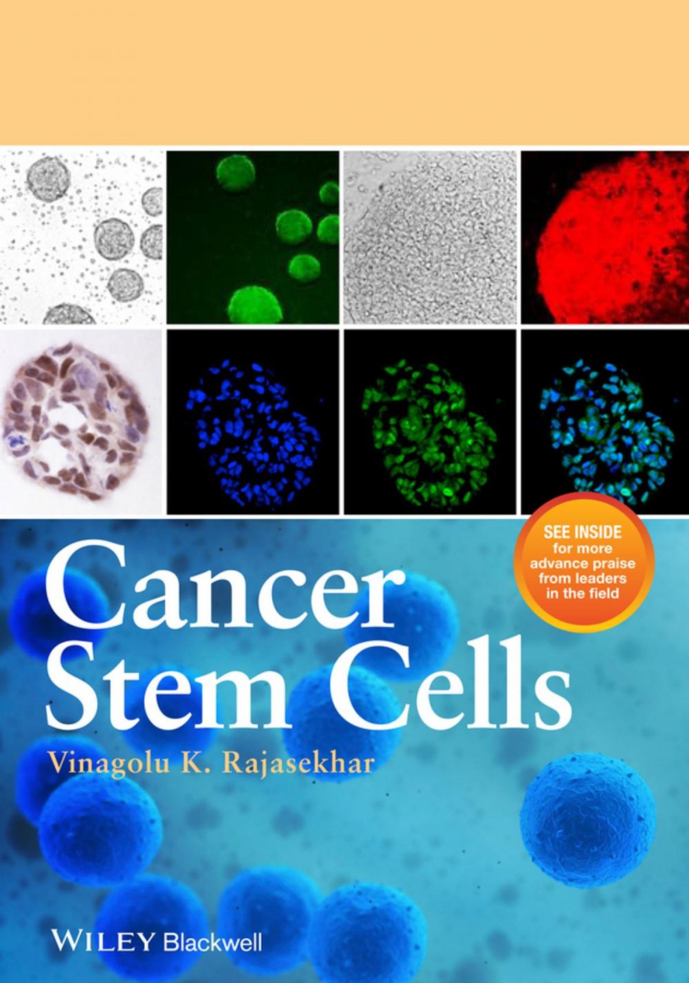 Big bigCover of Cancer Stem Cells