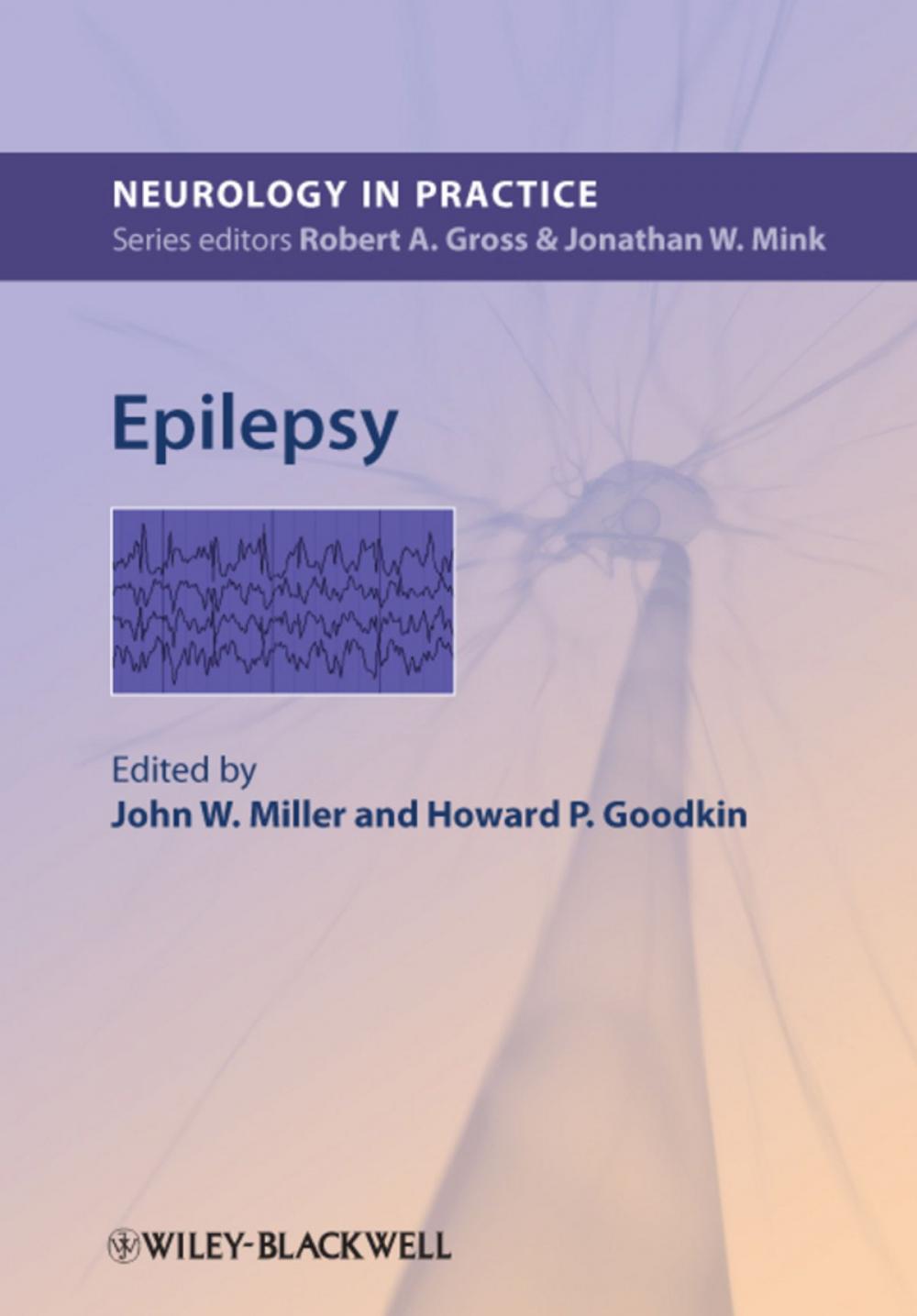 Big bigCover of Epilepsy