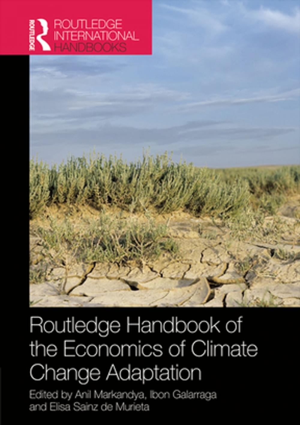 Big bigCover of Routledge Handbook of the Economics of Climate Change Adaptation