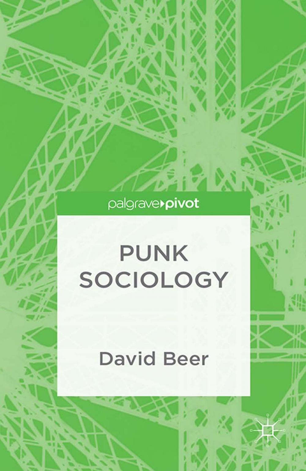 Big bigCover of Punk Sociology