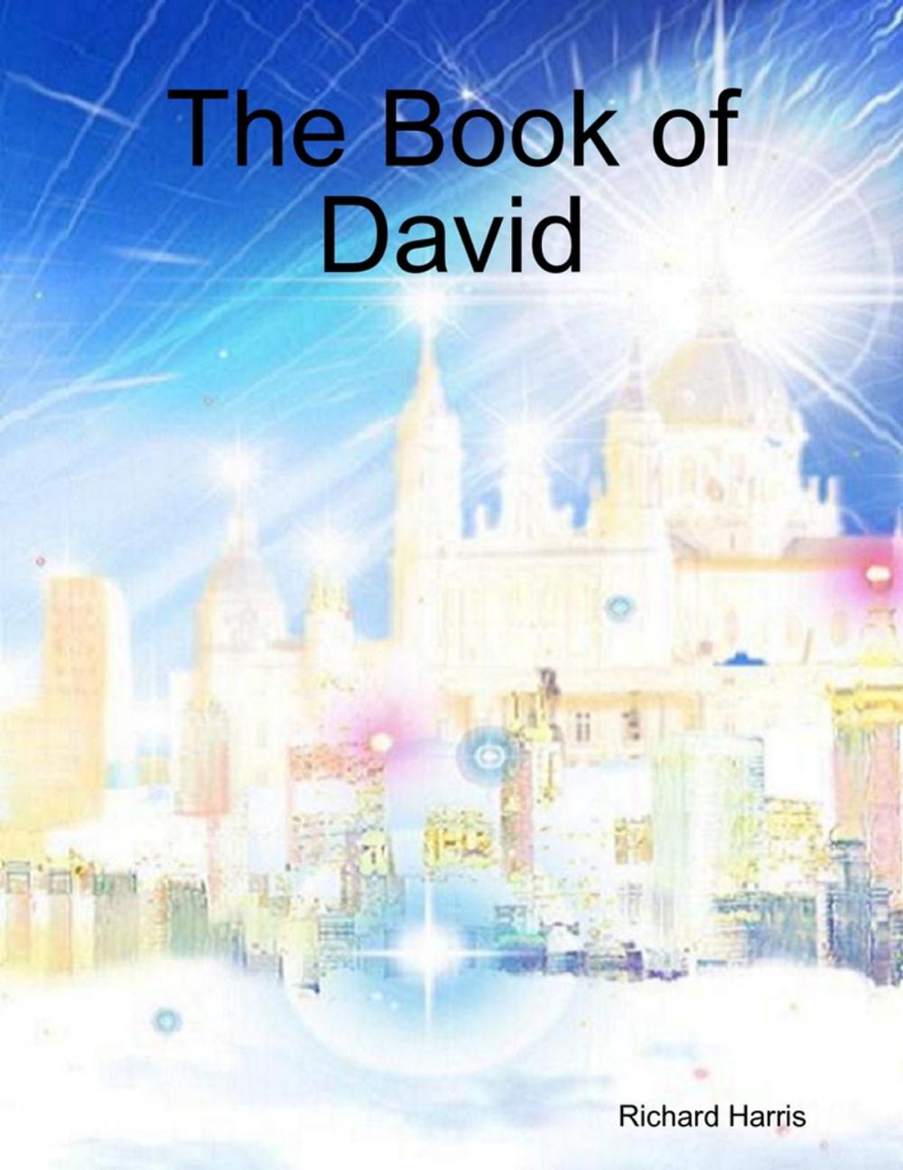 Big bigCover of The Book of David