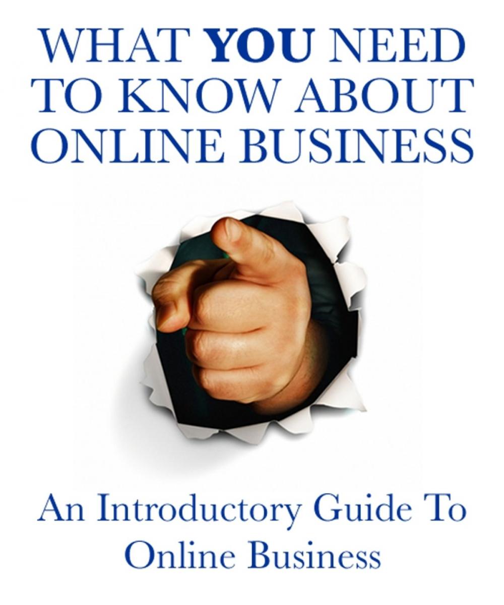 Big bigCover of What You Need to Know About Online Business