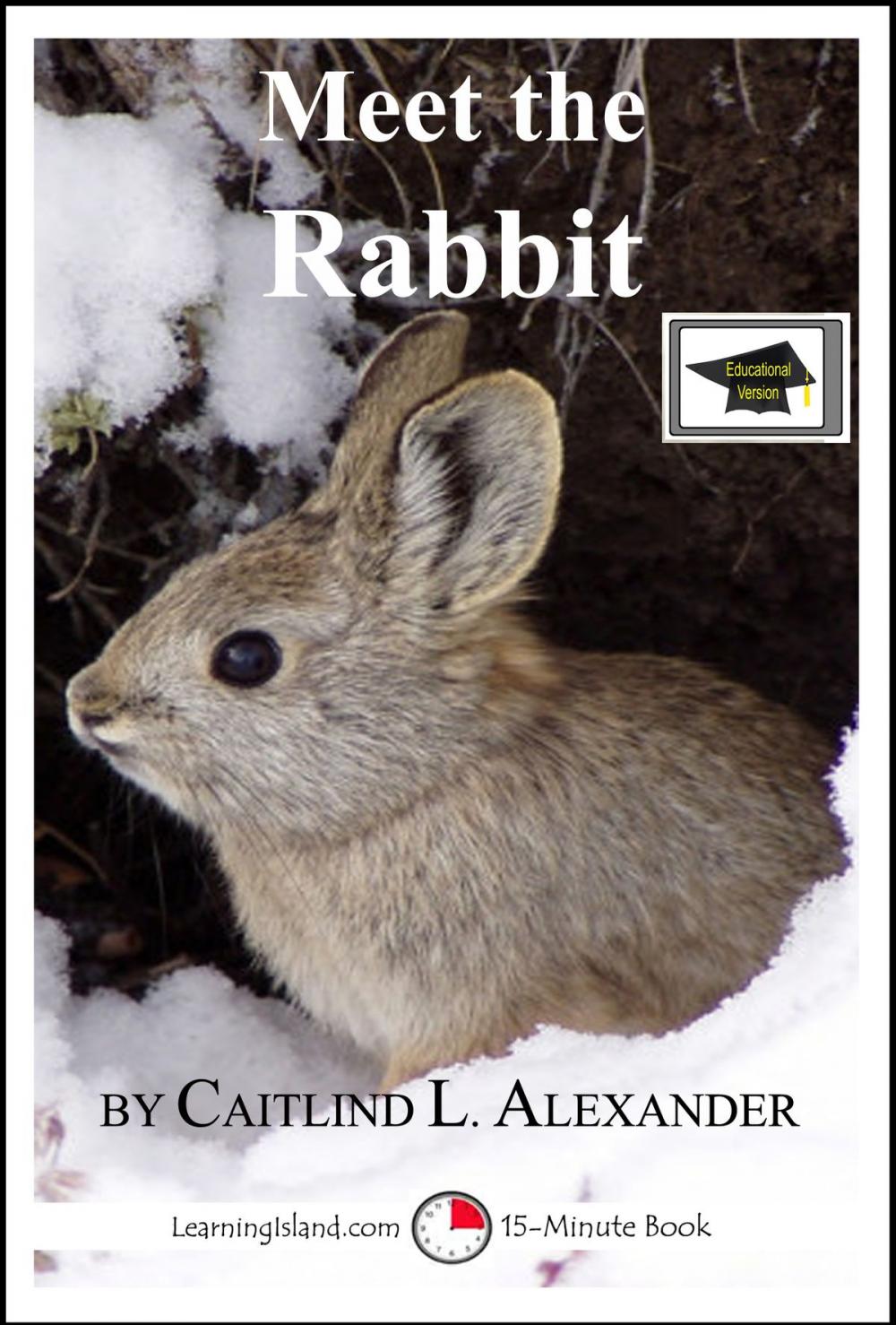 Big bigCover of Meet the Rabbit: A 15-Minute Book for Early Readers, Educational Version