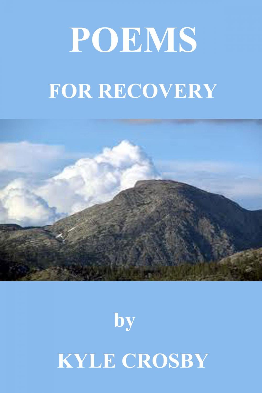 Big bigCover of Poems for Recovery