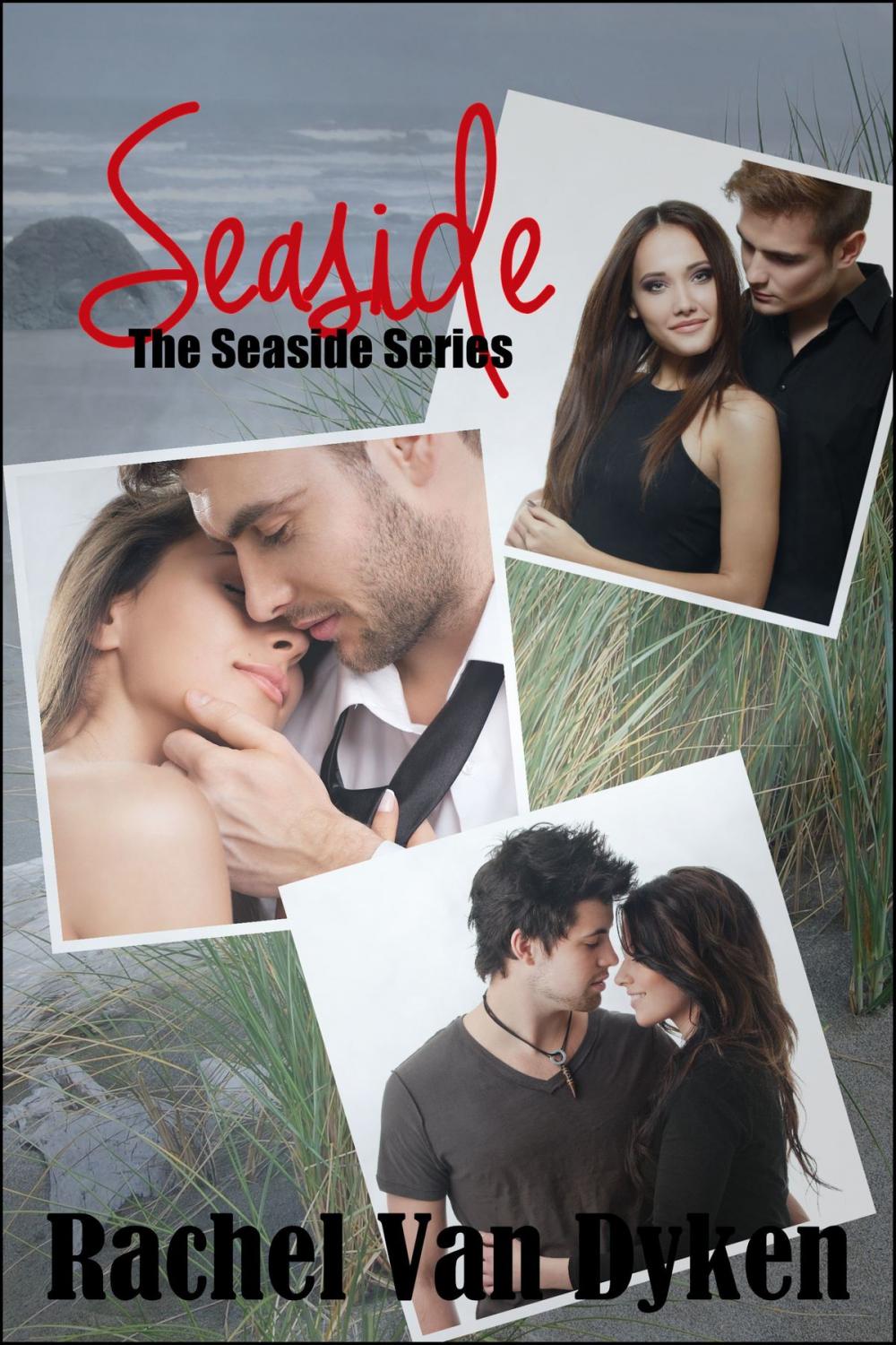 Big bigCover of The Seaside Series (New Adult Rocker Romance Boxed Set)