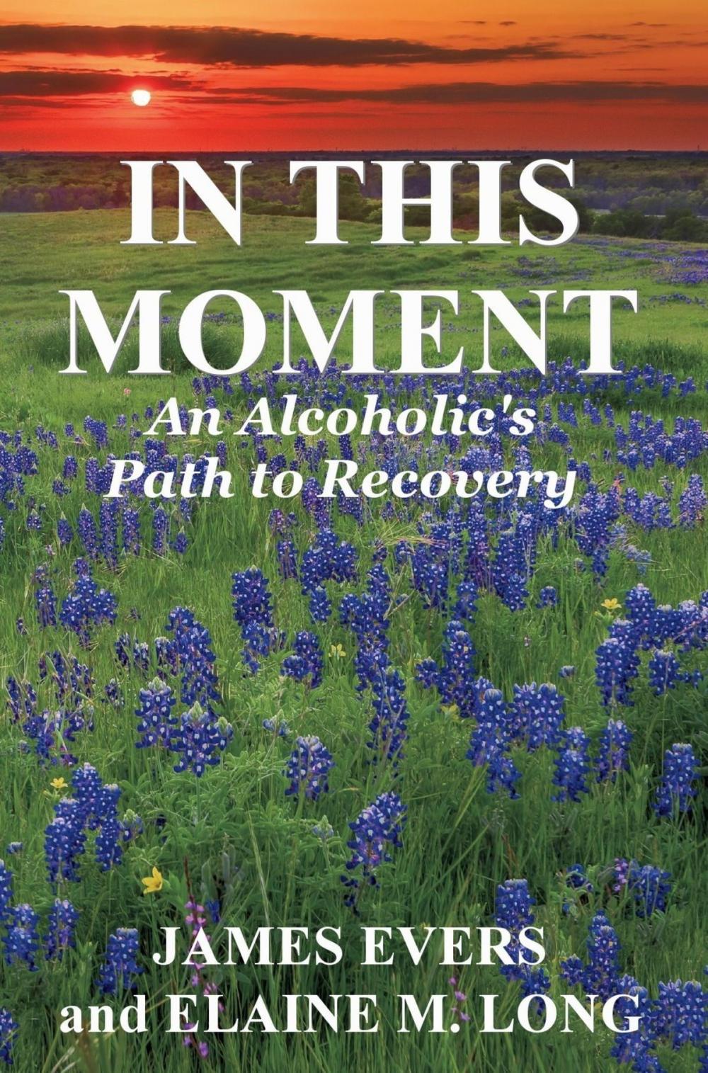 Big bigCover of In This Moment: An Alcoholic's Path To Recovery
