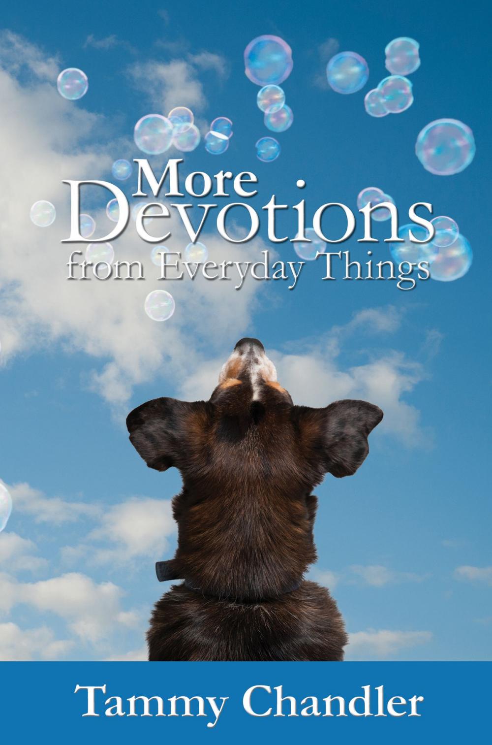 Big bigCover of More Devotions from Everyday Things