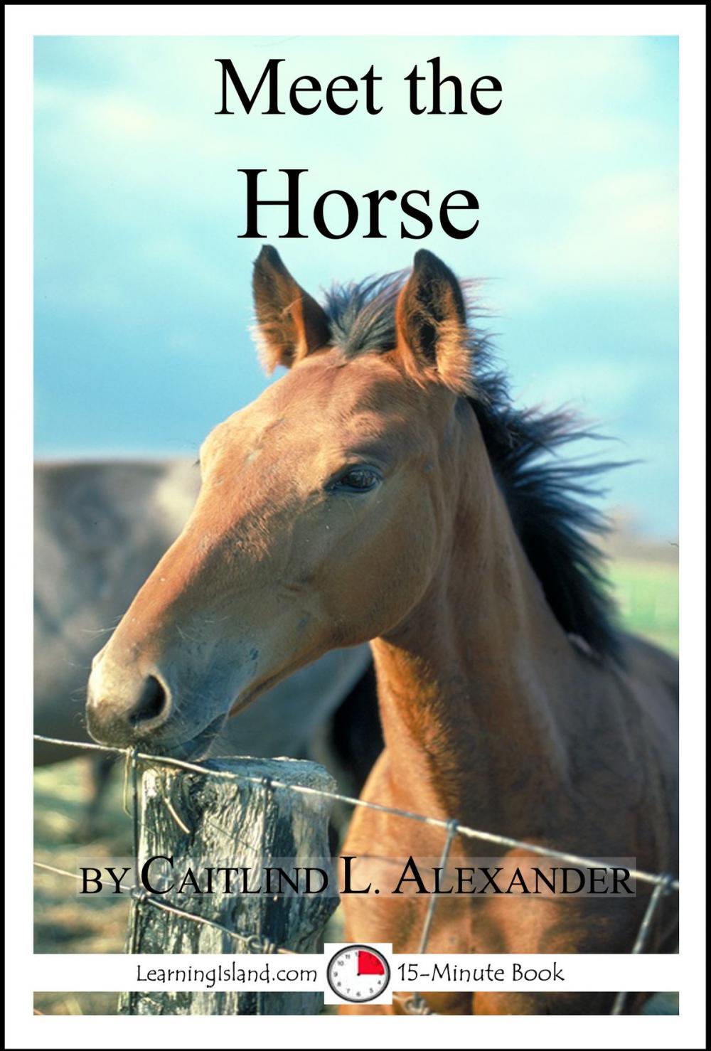 Big bigCover of Meet the Horse: A 15-Minute Book for Early Readers