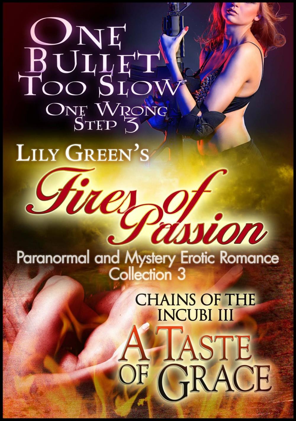 Big bigCover of Fires of Passion 3: Paranormal and Mystery Erotic Romance Collection