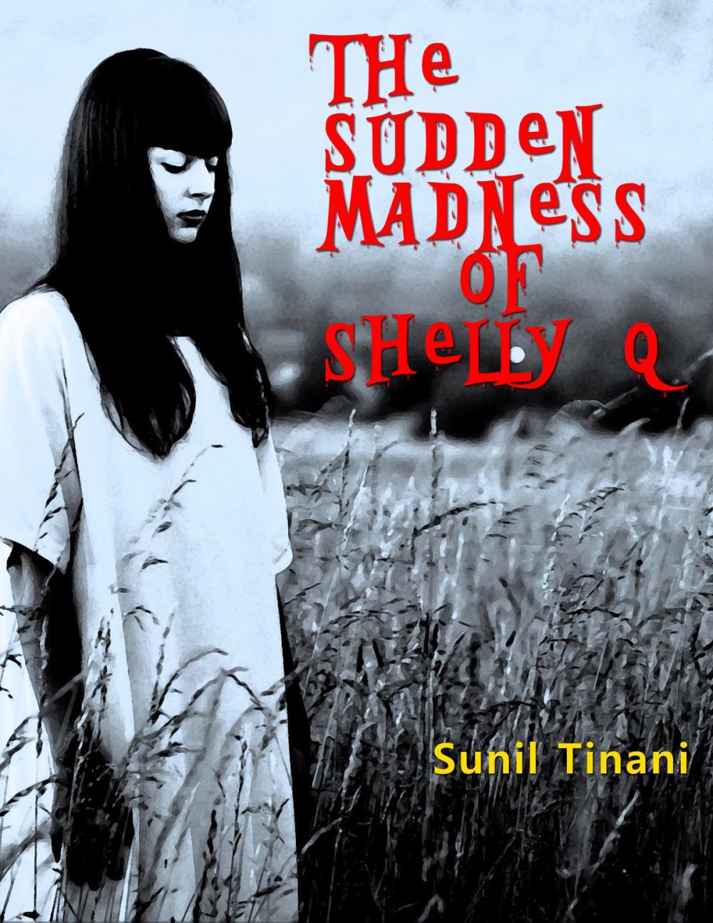 Big bigCover of The Sudden Madness of Shelly Q