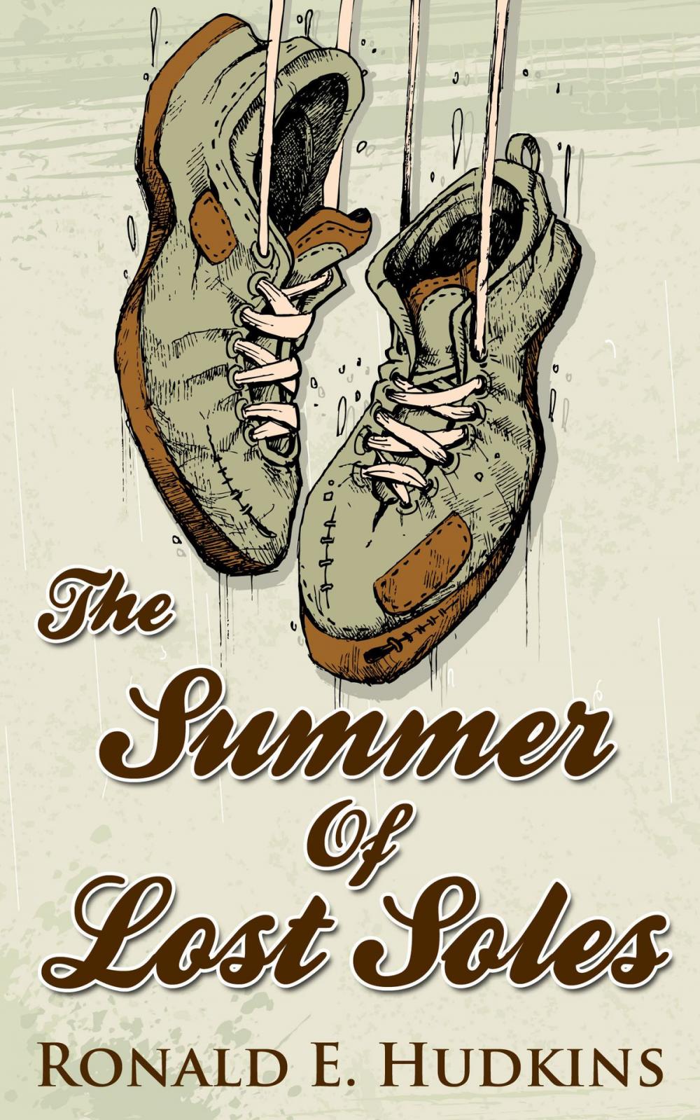 Big bigCover of The Summer of Lost Soles