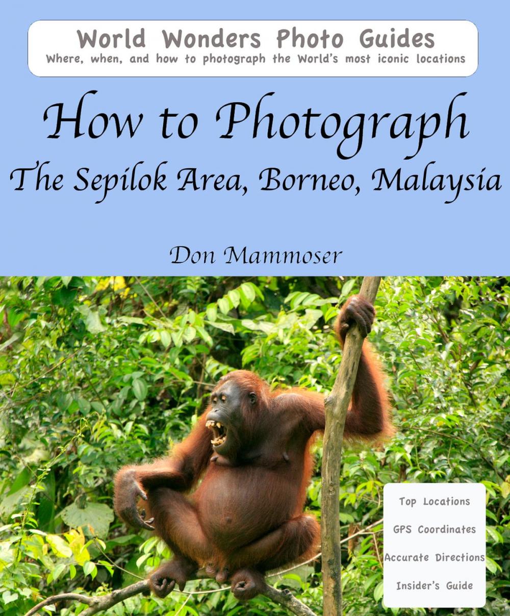 Big bigCover of How to Photograph The Sepilok Area, Borneo, Malaysia