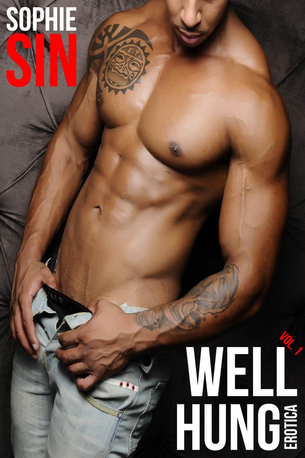 Big bigCover of Well Hung Erotica Vol. 1