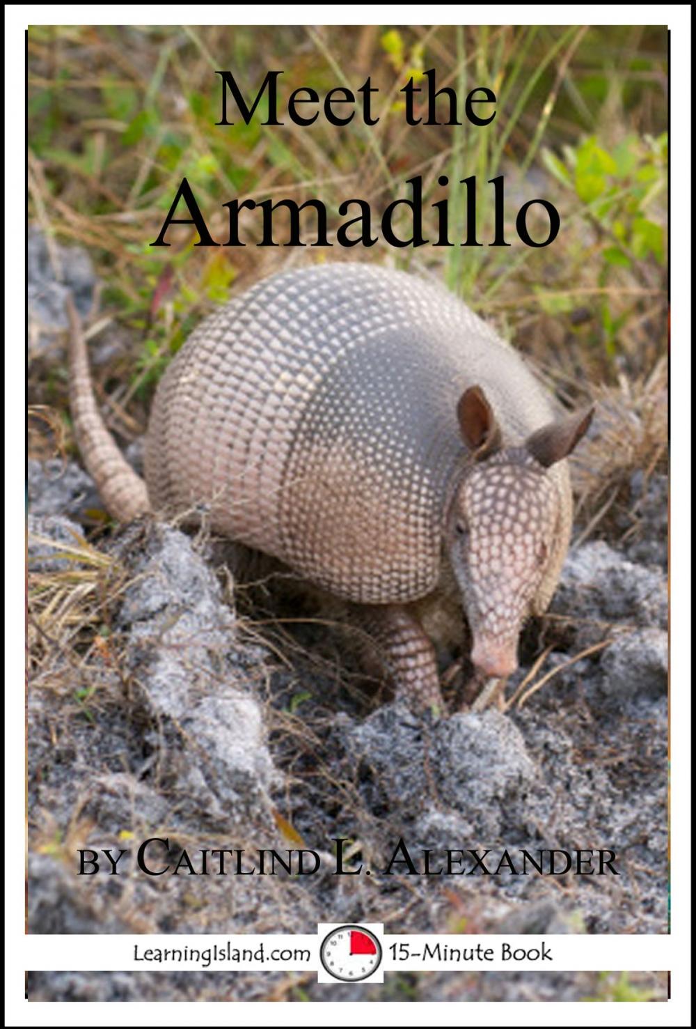 Big bigCover of Meet the Armadillo: A 15-Minute Book for Early Readers