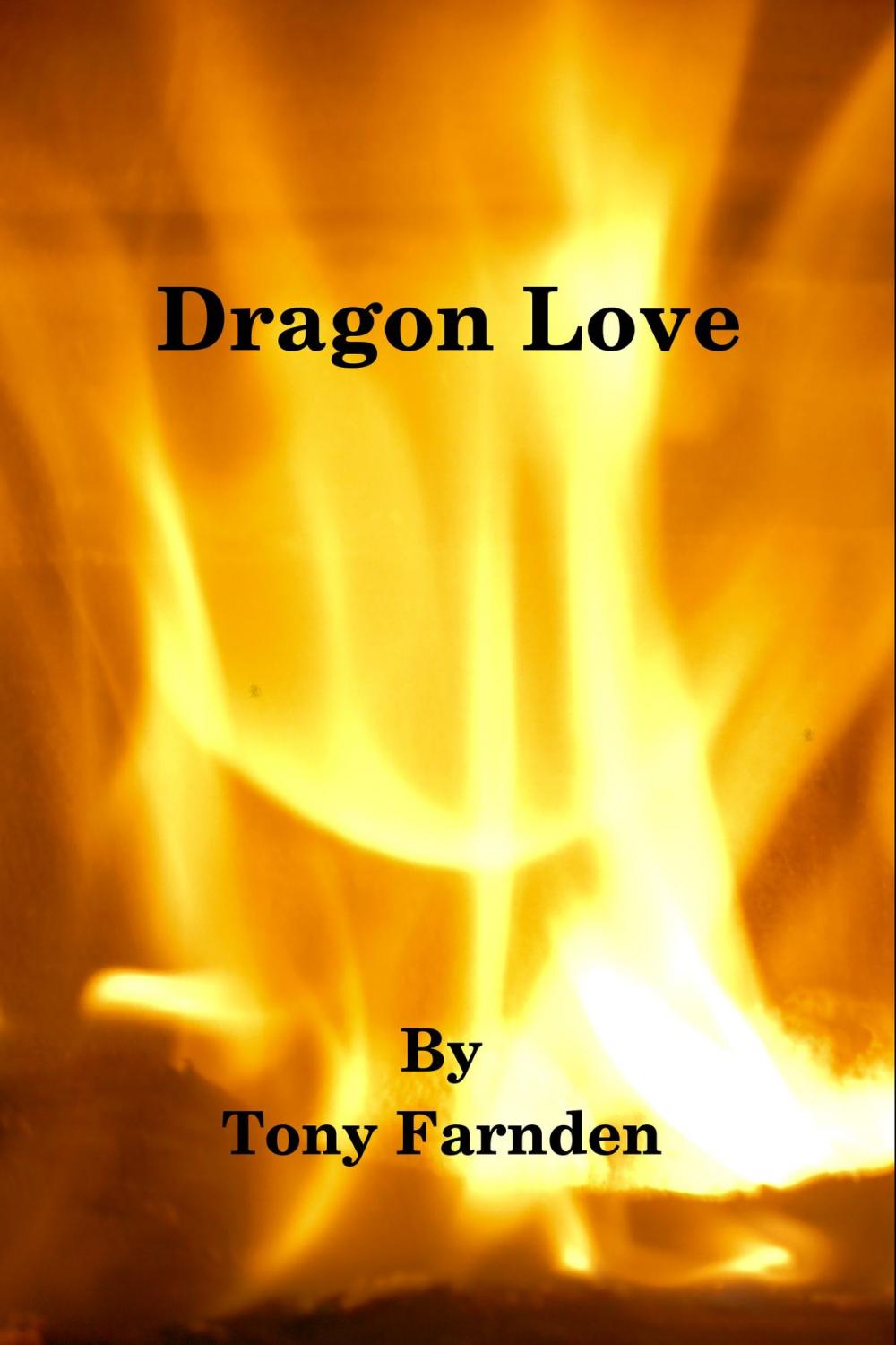 Big bigCover of Dragon Love