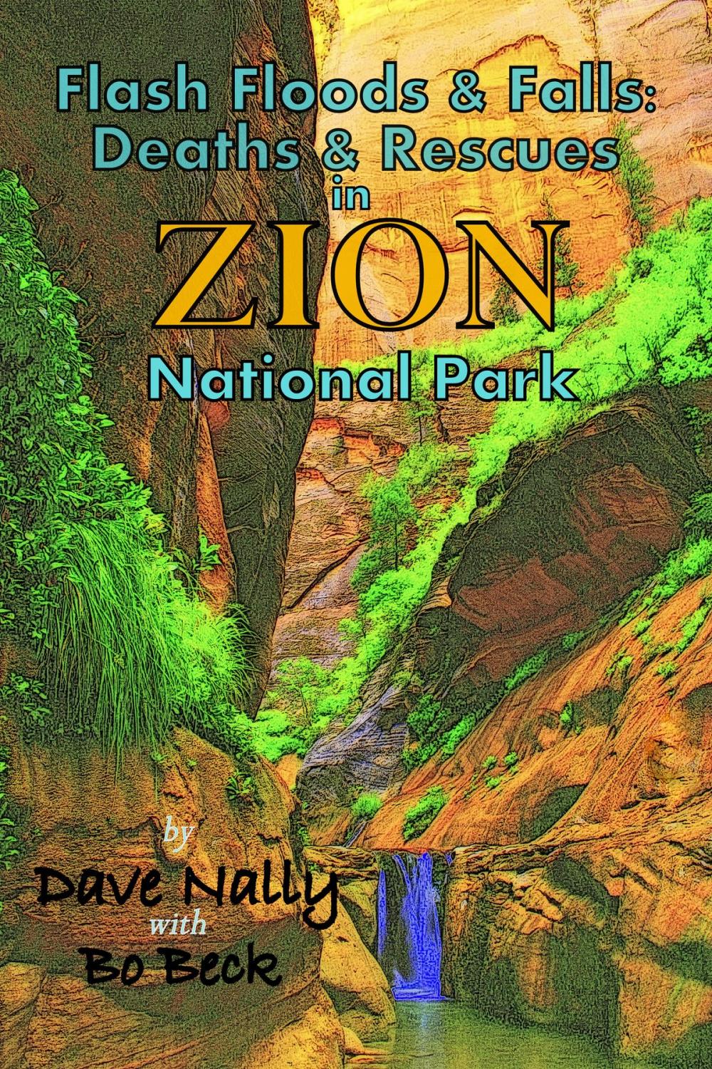 Big bigCover of Flash Floods & Falls: Deaths & Rescues in Zion National Park