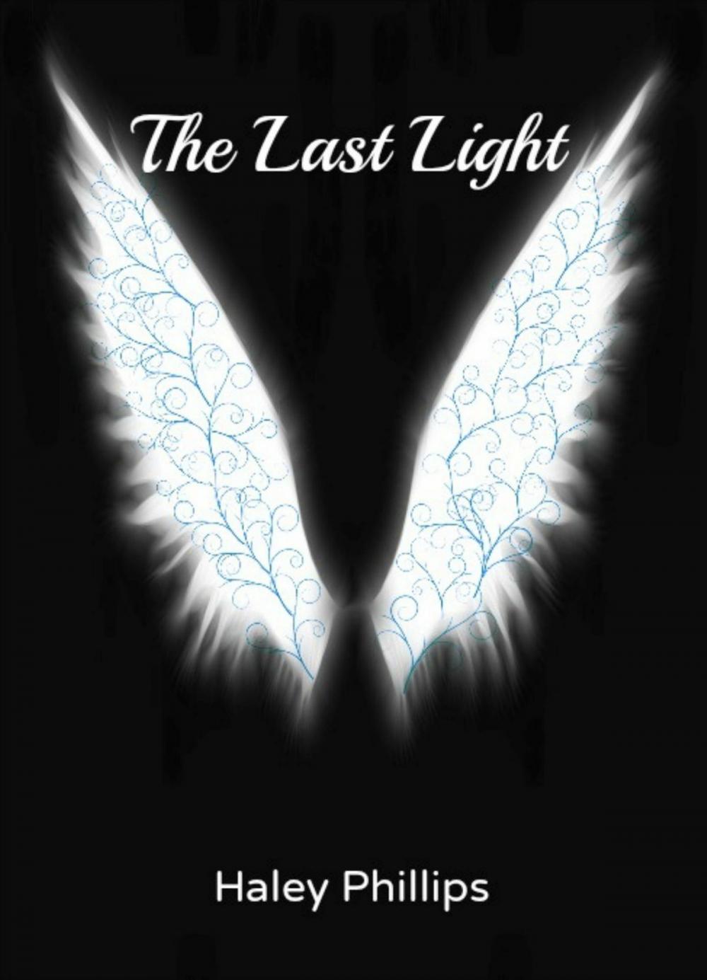 Big bigCover of The Last Light