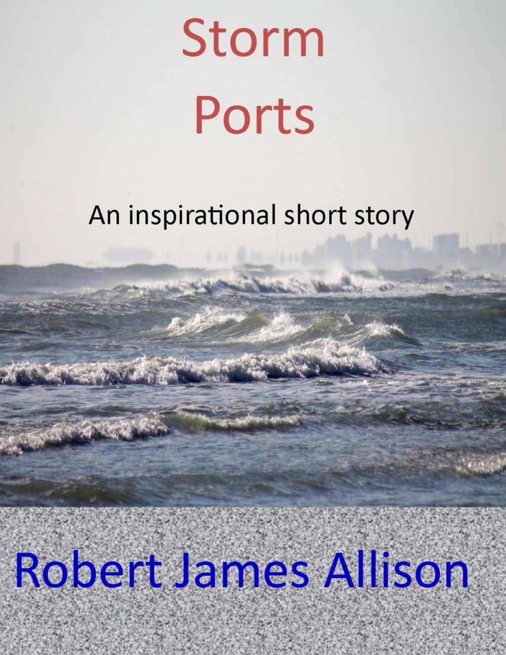 Big bigCover of Storm Ports