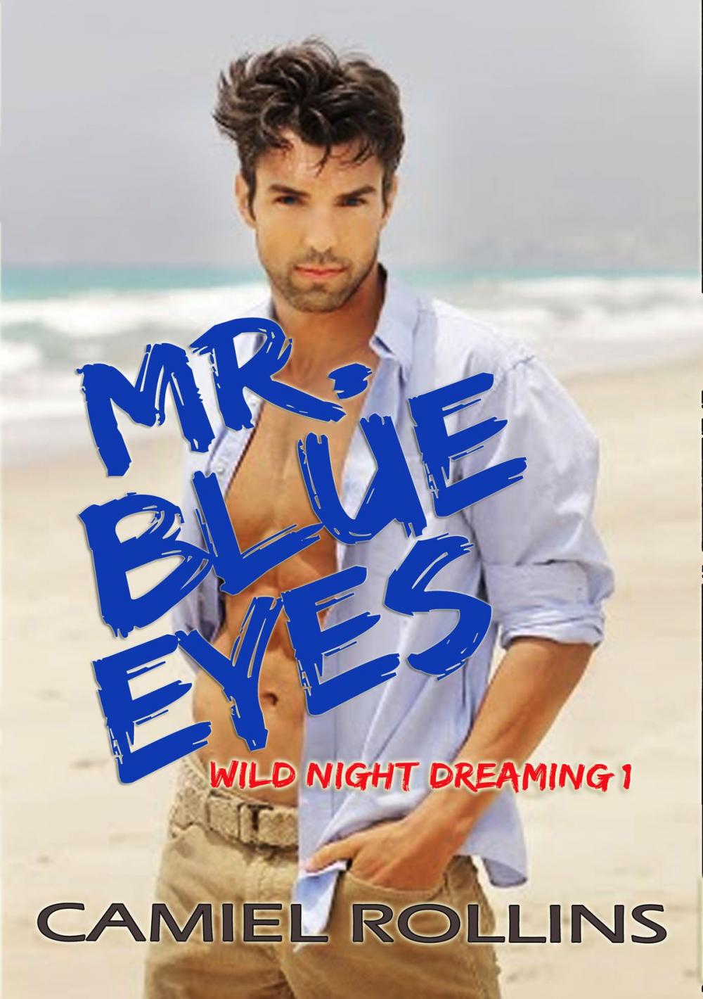 Big bigCover of Mr. Blue Eyes: Wild Night Dreaming 1